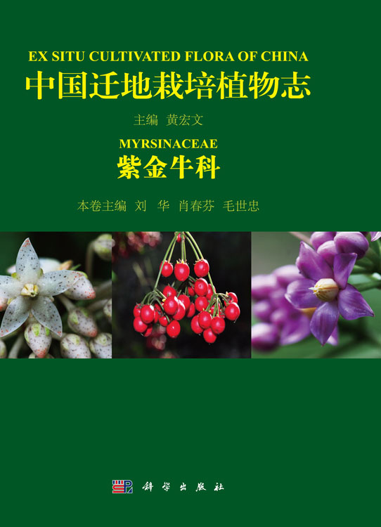 中国迁地栽培植物志  紫金牛科