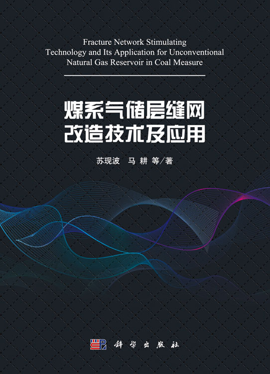 煤系气储层缝网改造理论与技术