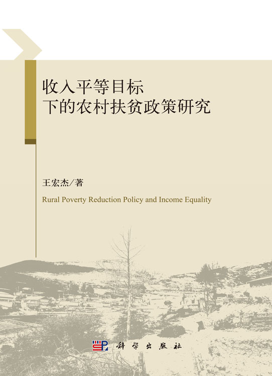 收入平等目标下的农村扶贫政策研究