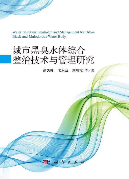 城市黑臭水体综合整治技术与管理研究