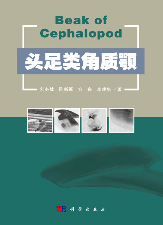 头足类角质颚