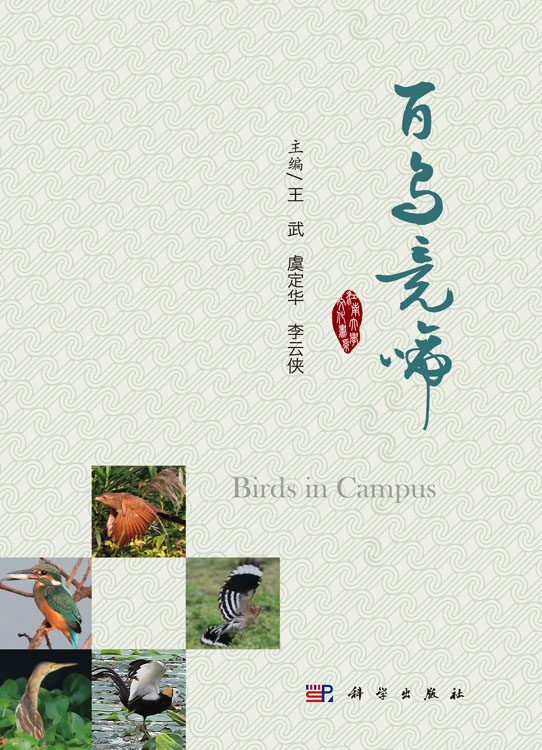百鸟竞啼