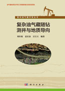 复杂油气藏随钻测井与地质导向
