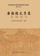 唐懿德太子墓发掘报告