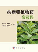 抗病毒植物药臭灵丹