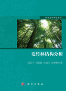 毛竹林结构分析