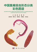 中国畜禽吸虫形态分类彩色图谱