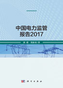 中国电力监管报告2017