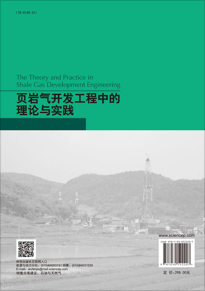 页岩气开发工程中的理论与实践