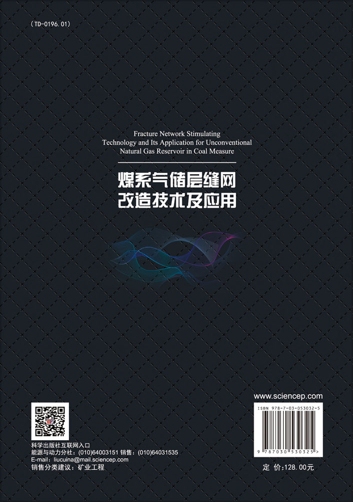 煤系气储层缝网改造理论与技术