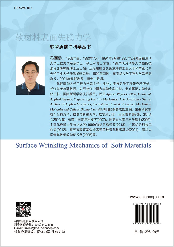 软材料表面失稳力学