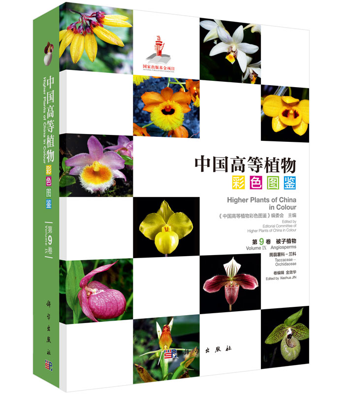 中国高等植物彩色图鉴 第9卷 被子植物 蒟蒻薯科-兰科
