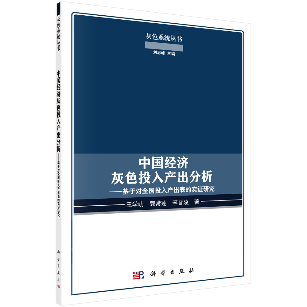 中国经济灰色投入产出分析——基于对全国投入产出表的实证研究