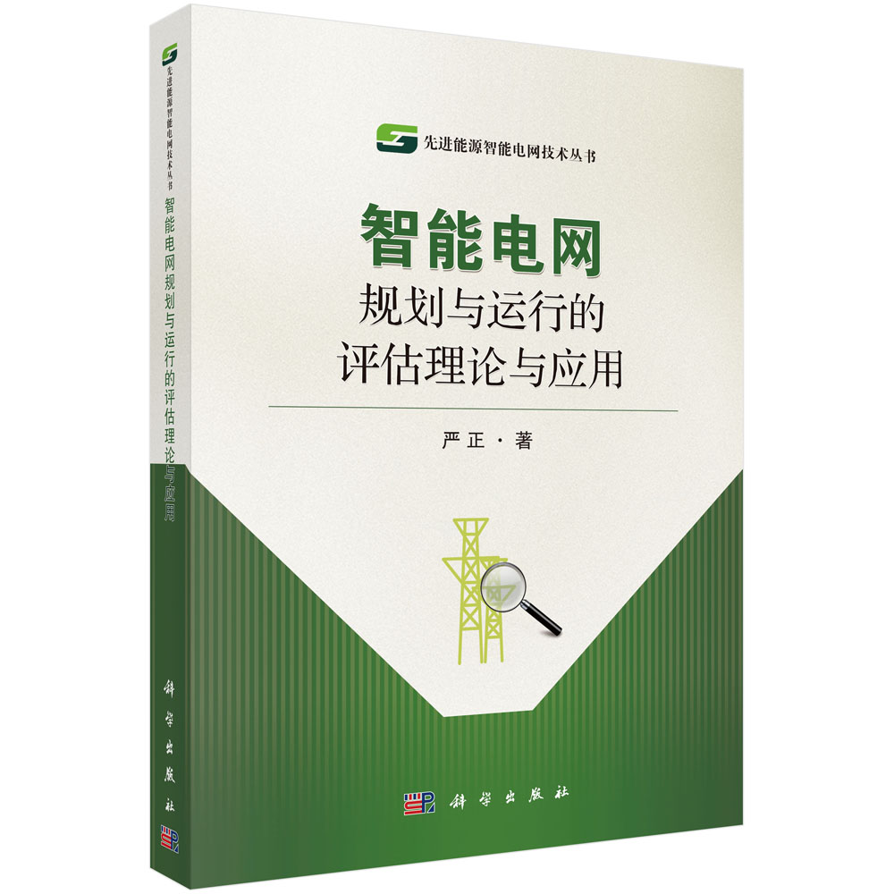 智能电网规划与运行的评估理论与应用