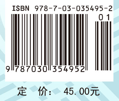 脉宽调制DC/DC全桥变换器的软开关技术（第二版）