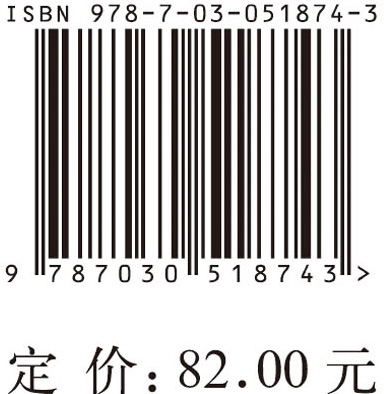 电子政府的制度解释与中国模式