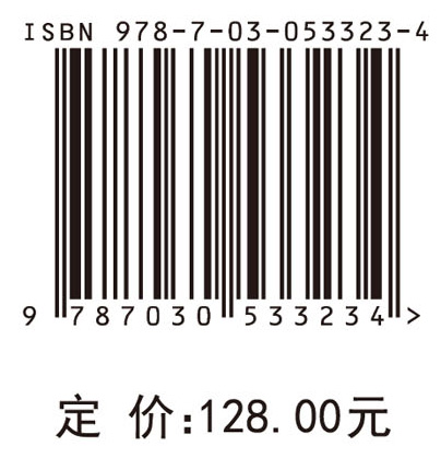 电子装备灰色试验理论及应用