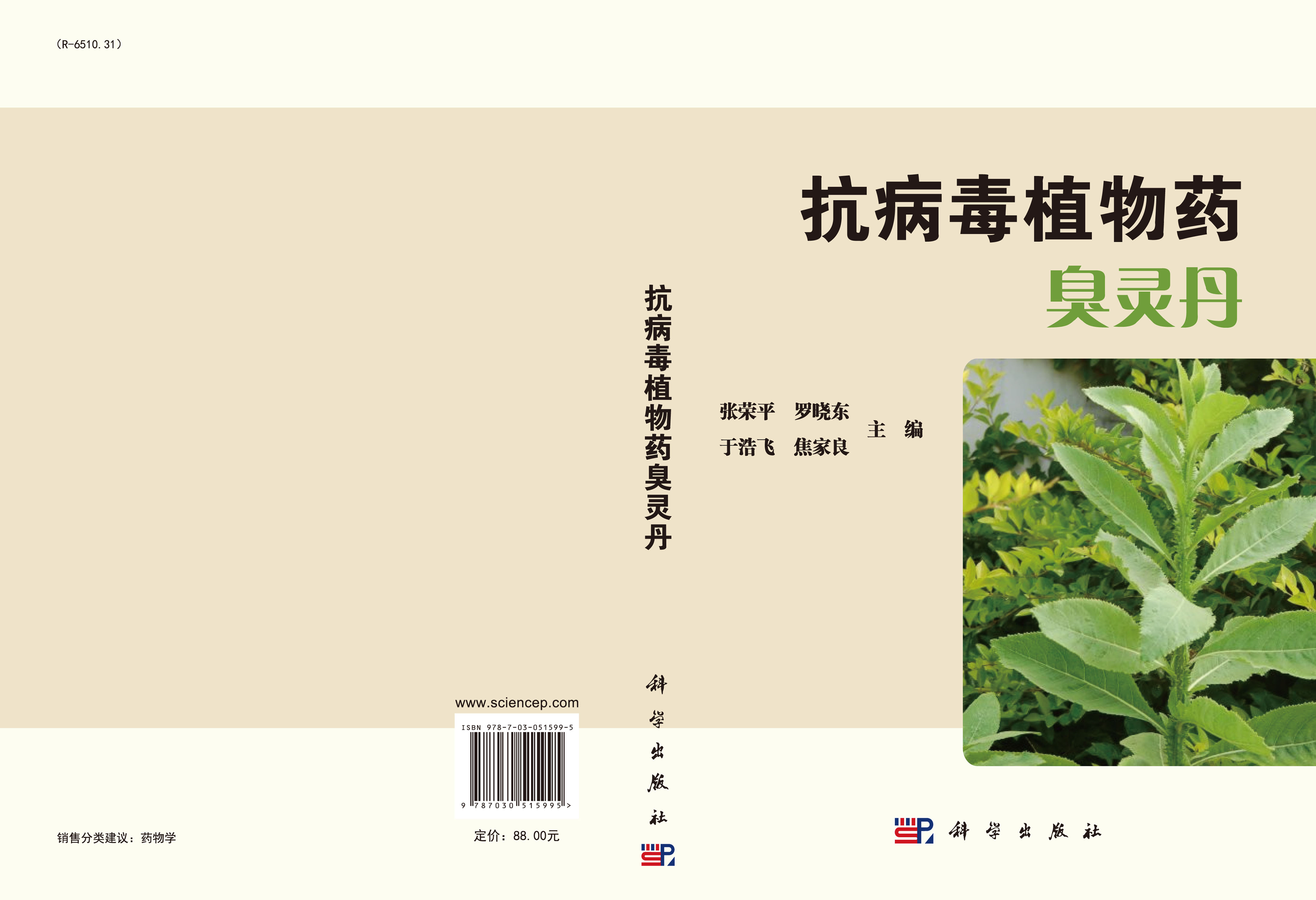 抗病毒植物药臭灵丹