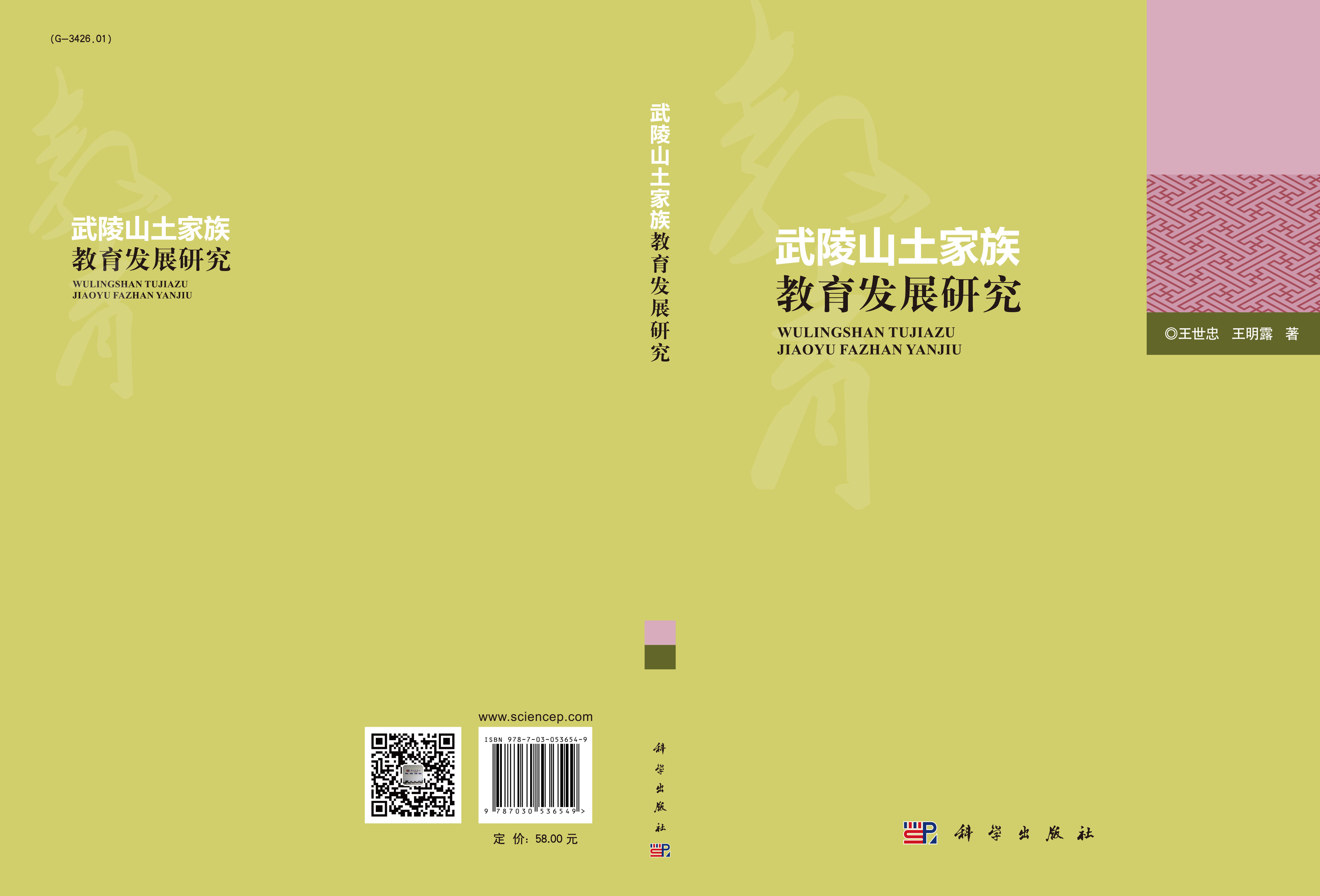 武陵山土家族教育发展研究