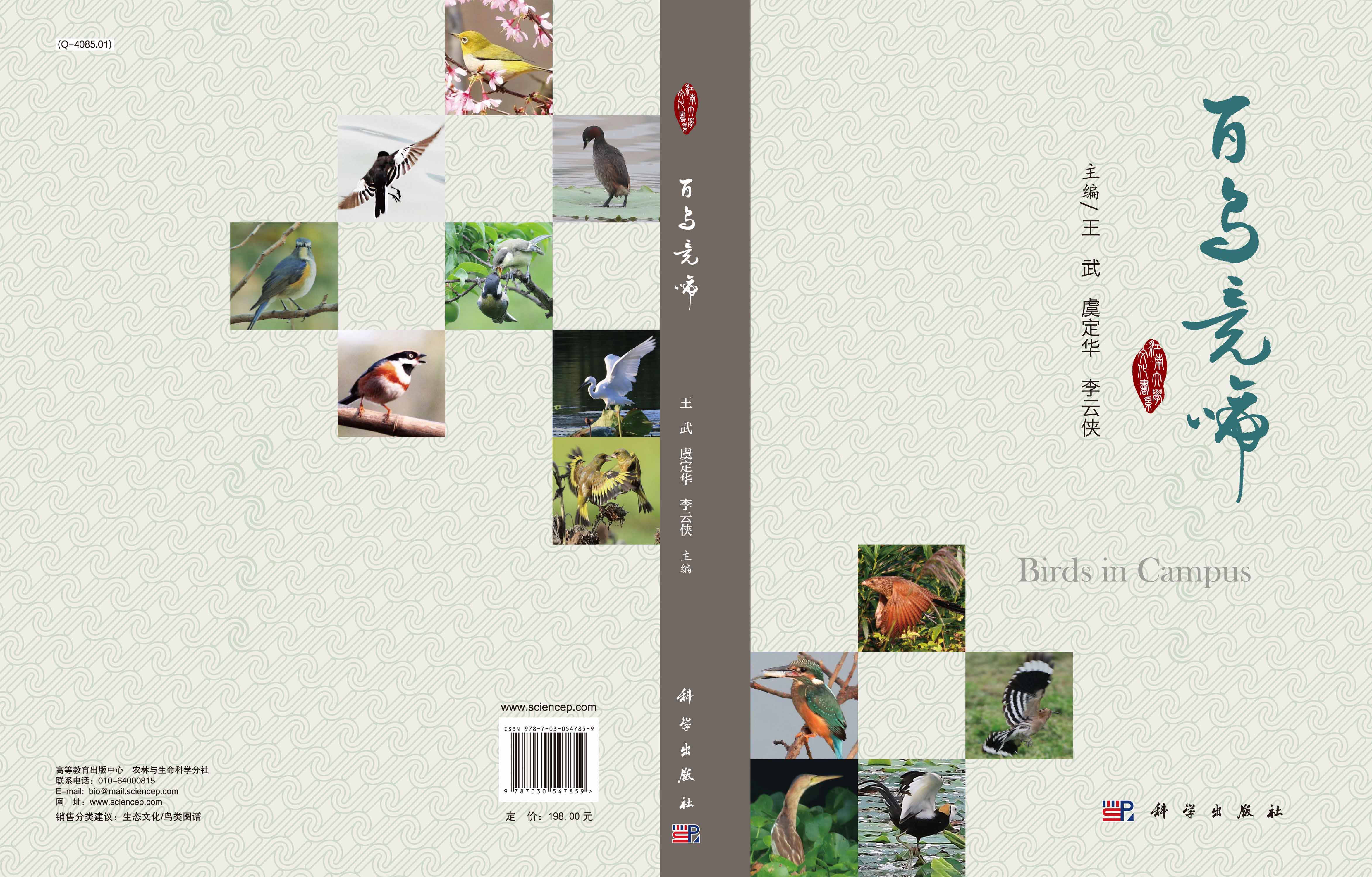 百鸟竞啼