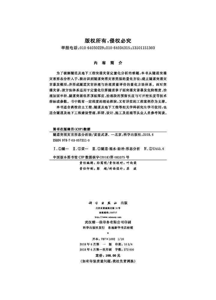 隧道突涌灾害形态分析法