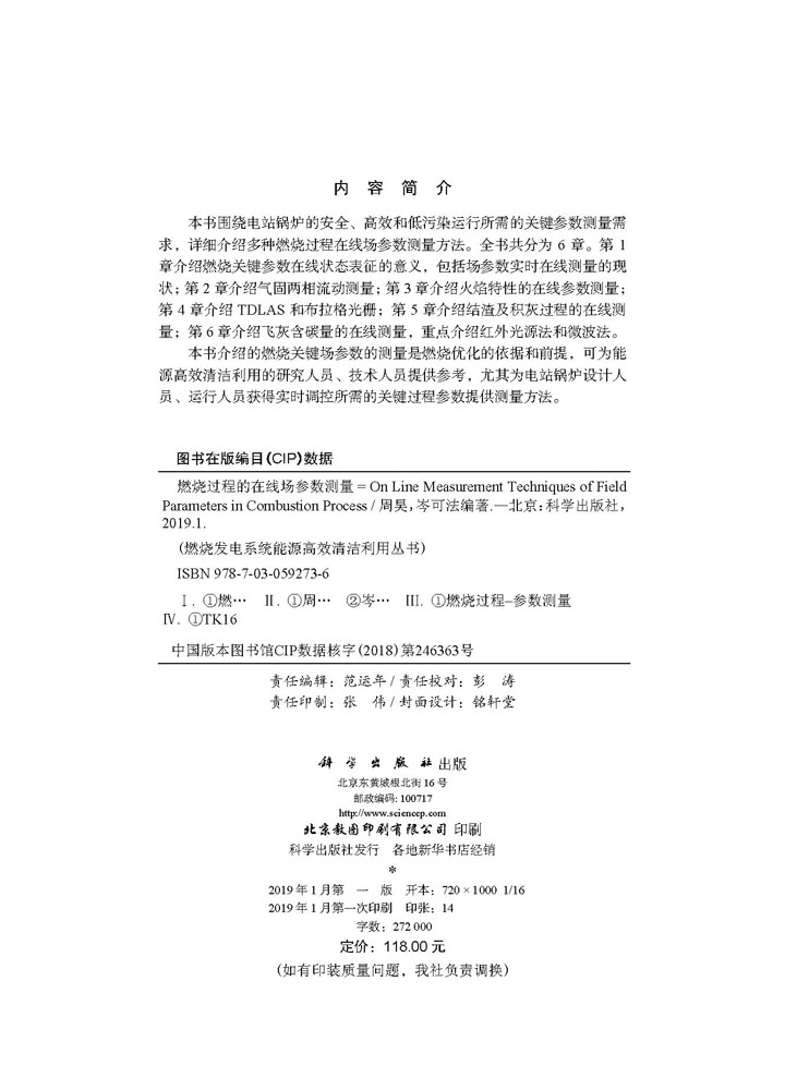 燃烧过程的在线参数测量