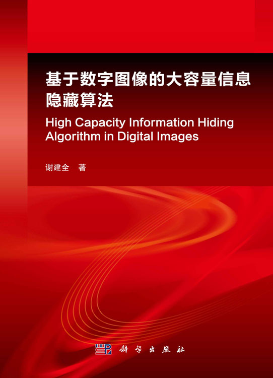 基于数字图像的大容量信息隐藏算法