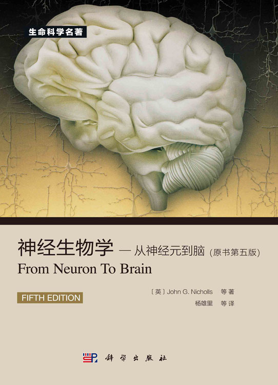 神经生物学：从神经元到脑（原书第5版）