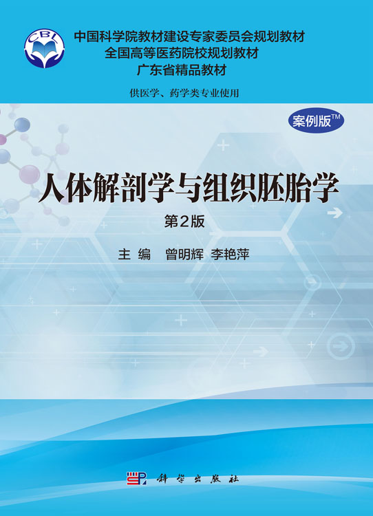 人体解剖学与组织胚胎学