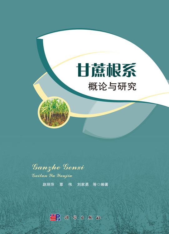 甘蔗根系概论与研究
