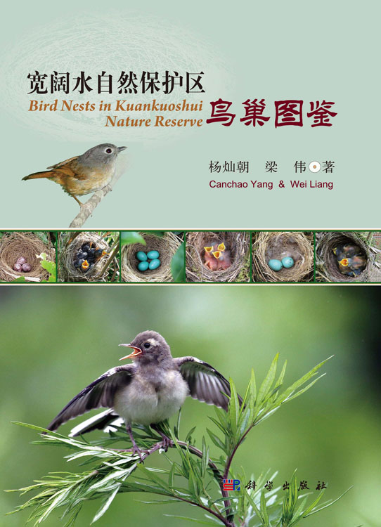 宽阔水自然保护区鸟巢图鉴