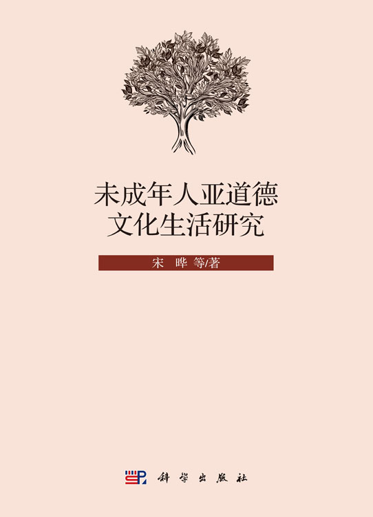 未成年人亚道德文化生活研究