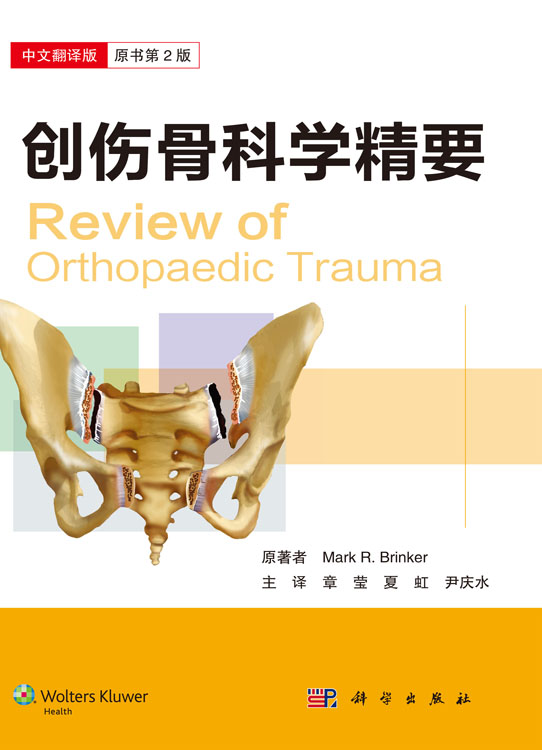 创伤骨科学精要（中文翻译版）