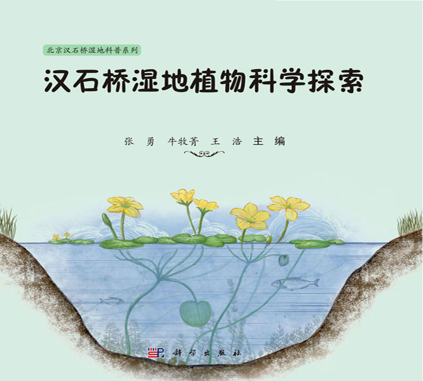 汉石桥湿地植物科学探索