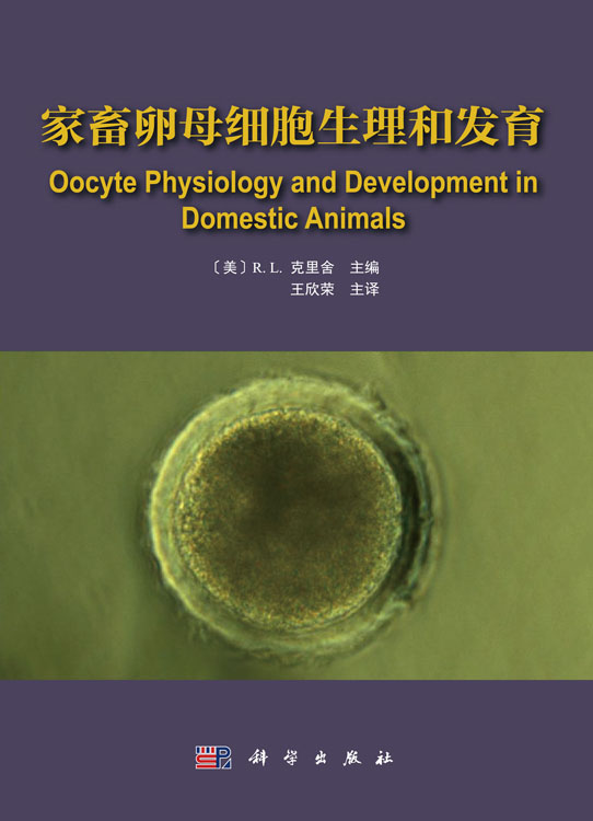 家畜卵母细胞生理与发育