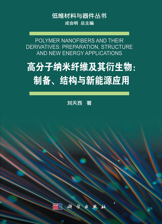 高分子纳米纤维及其衍生物：制备、结构与新能源应用
