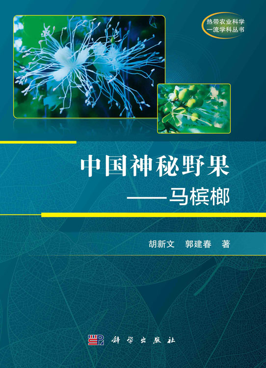 中国神秘野果——马槟榔