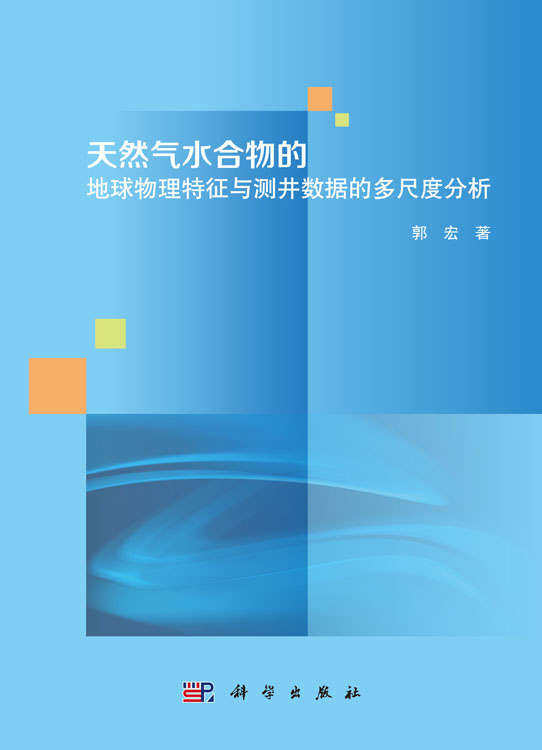 天然气水合物的地球物理特征与测井数据的多尺度分析