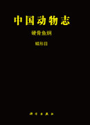 中国动物志硬骨鱼纲蝶形目
