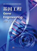 基因工程