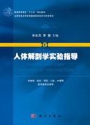 人体解剖学实验指导