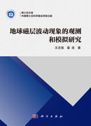 地球磁层波动现象的观测和模拟研究