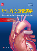 哈里森心血管病学(中文翻译版    原书第2版)