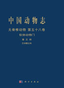 中国动物志  无脊椎动物 第五十八卷   艾纳螺总科