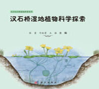 汉石桥湿地植物科学探索