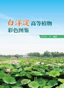白洋淀高等植物彩色图鉴
