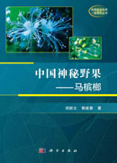中国神秘野果——马槟榔
