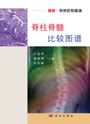 脊柱脊髓比较图谱