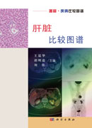 肝脏比较图谱