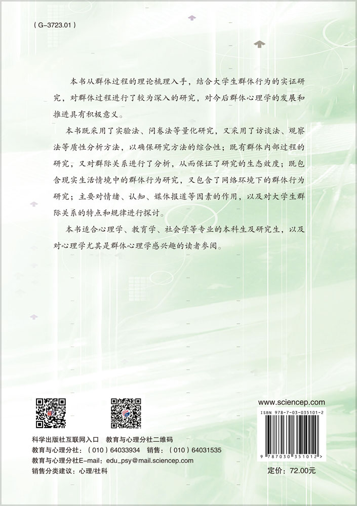 群体过程：理论解析与实证研究